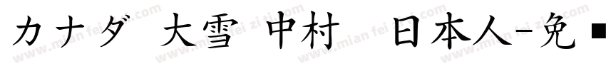 カナダ 大雪 中村　日本人字体转换